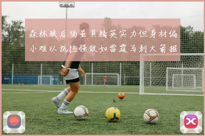 森林狼后场虽具精英实力但身材偏小难以抵挡强敌如雷霆马刺火箭掘金